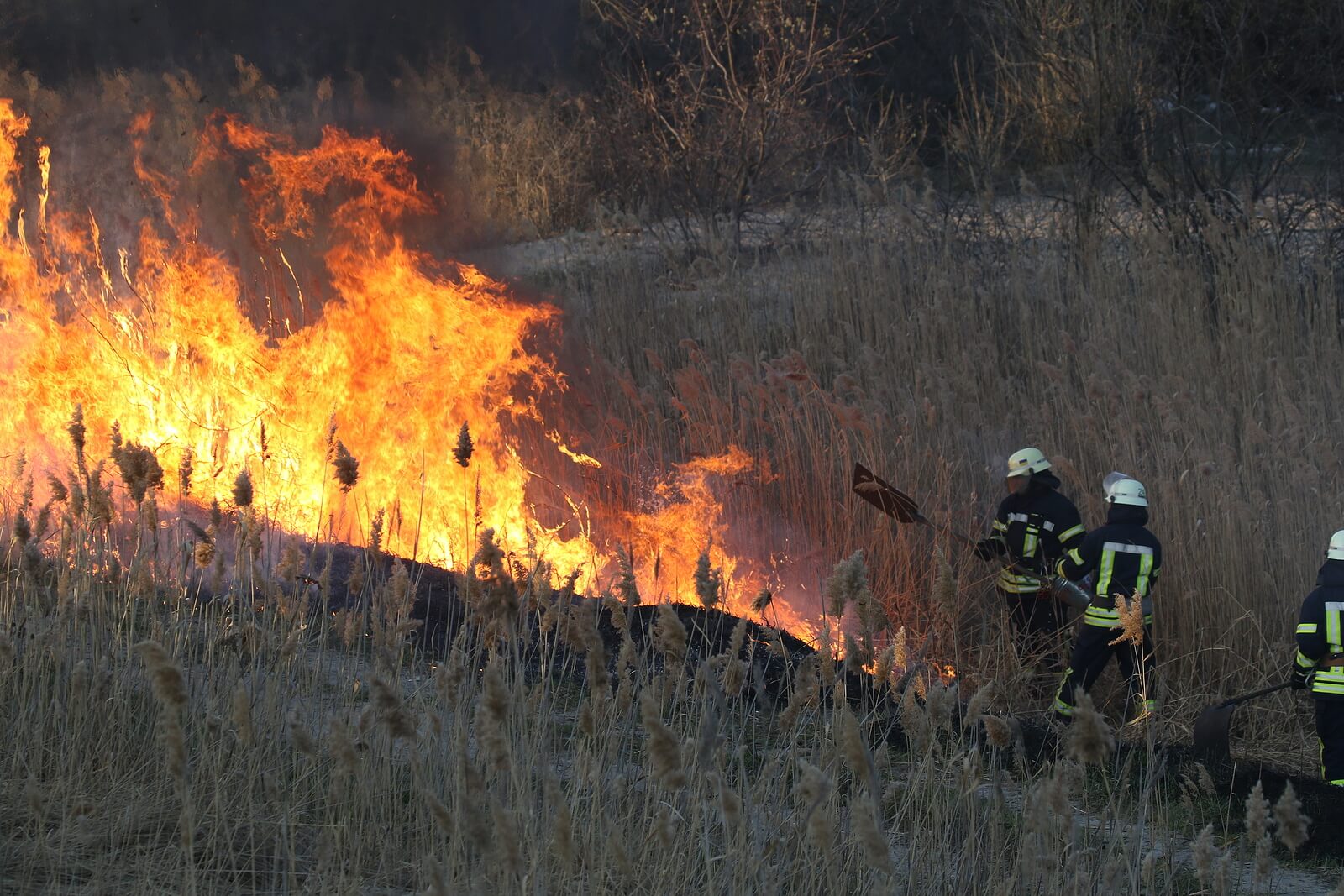 Preparing Your Rental for Bend’s Wildfire & Smoke Season